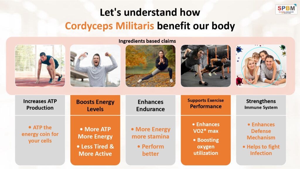 Cordyceps Militaris Drops benefits