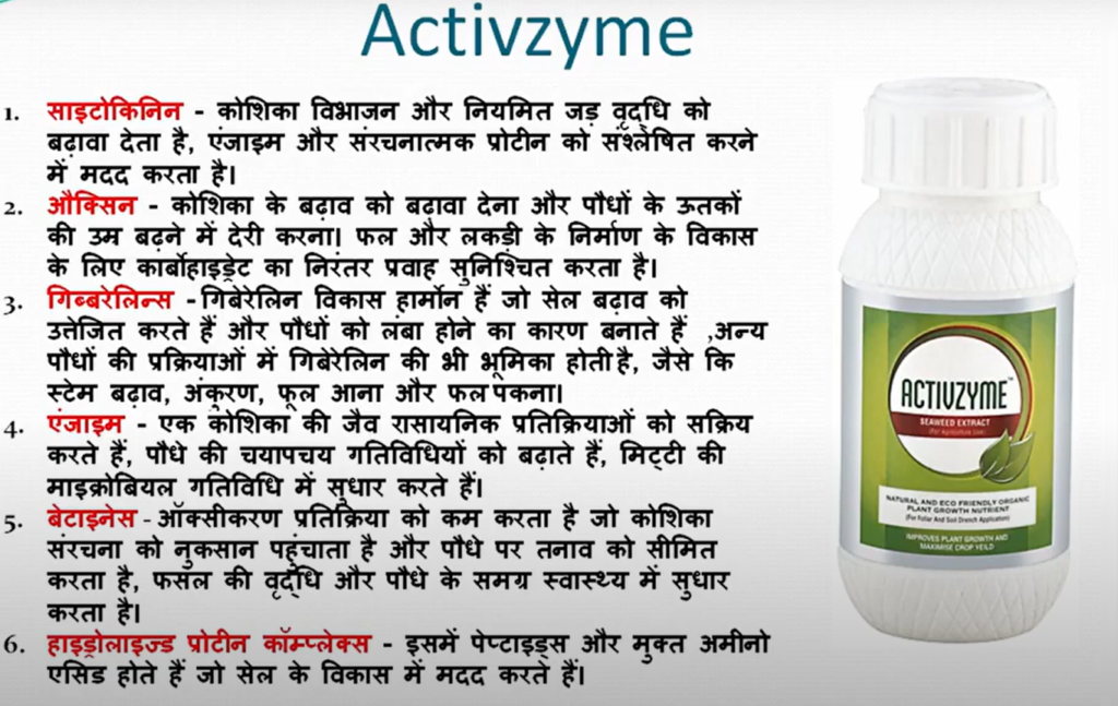 Modicare ActivZyme ingredients