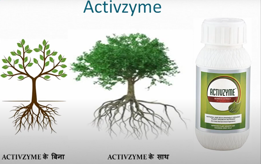 Modicare ActivZyme benefits in hindi